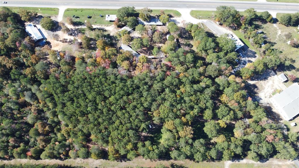 6400  US Highway 190  Livingston Texas 77351, 44