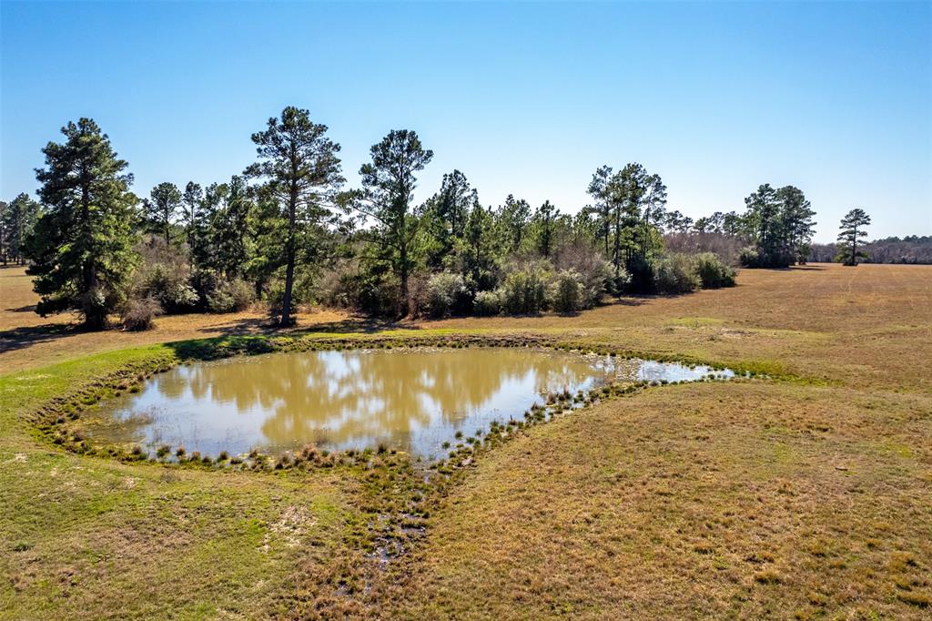 Beautiful 30 acres out of a 236.76-acre ranch with an additional 41.9 contiguous acres that are available.  The property is a nice mix of open pastures with heavily wooded acreage.  There is a pond name the "frog pond" for everyone to be able to do a little fishing.  This pristine property is Ag exempt with elevations between 340 and 370 feet, sandy soil, and Bahia grass.  Light restrictions are in place.  Electricity is delivered by Midsouth and Fiber Optics are available.  This property, R10864 is waiting for someone to build their dream home.  It is in the Anderson-Shiro School District.  No pipelines and no transmission lines, picture-perfect!