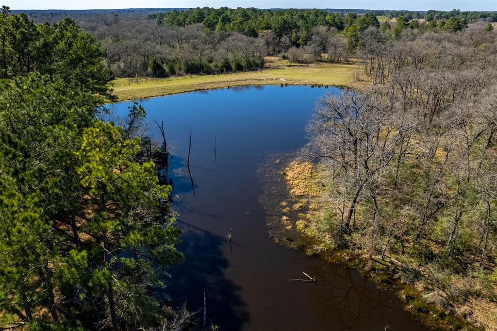 Beautiful 41.9 acres out of 236.77 acres with an additional 30 contiguous acres that are available.  The Property has a nice mix of open pastures with heavily wooded acreage.  There is a large pond that is over an acre and a half in size, the owners named the pond the "New Pond" so everyone is able to do a little fishing.  This pristine property is Ag exempt with elevations between 340 and 370 feet, sandy soil, and Bahia grass.  Electricity is delivered by Midsouth and Fiber Optics are available. This property, R10864 is waiting for someone to build their dream home.  It is in the Anderson-Shiro School District.  No pipelines and no transmission lines, picture-perfect!