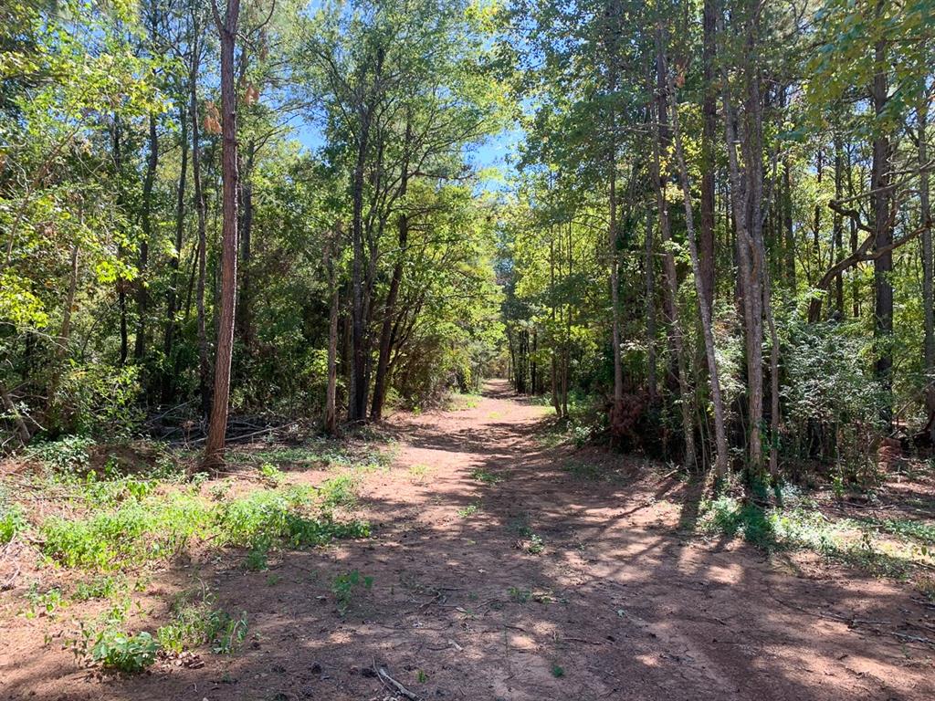 T-1: Located about eight miles northwest of the historic town of Nacogdoches, TX in the Central Heights School District, this land offers many possibilities. Suitable for all types of agricultural uses, weekend getaway, or maybe even a homesite. Timber has recently been thinned and could be cleared or continue as a timber investment. Has not been hunted by owner or leased to hunt in twelve years. Good deer population. Water well will be required and electricity service will need to be extended. Availability of utilities will need to be confirmed by buyer.