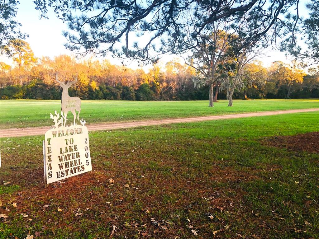 Lot 21  Magnolia Lane Shepherd Texas 77371, 64