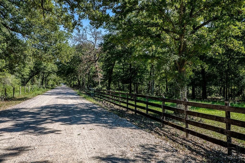 Here is your chance to own 12 beautiful acres within 10 minutes of Brenham. Land has large oak trees as well as many other varieties scattered throughout and is situated in a beautiful grassy meadow. Deer roam this property consistently. A truly amazing little tract of land ready for your weekend or full time home. Beautiful homesite ready for your builder. These small tracts this close to town are getting harder and harder to find. Call Matt Montgomery for a tour. Land will have minor deed restriction. There will be 3 total tracts sold so there is opportunity to add acreage if desired.
