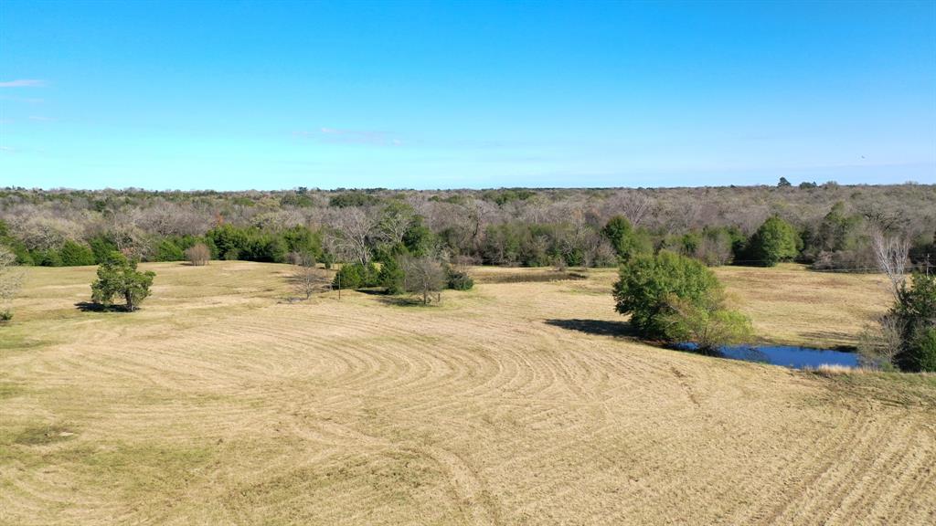 16± acres for sale in Madison county near North Zulch. This 16 acre property sits on a well maintained county road only 30 minutes from the Bryan College Station area. Fiber optic and electricity are available at the road. There are multiple building locations, abundant wildlife, 2 ponds as well as a creek that travels through the property. Property is under an Ag exemption and has been used for hunting and ranching by the current owners.