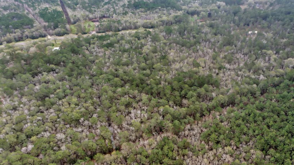 15.6042 Wooded acres in Devers, TX.
Zoned to Devers ISD.