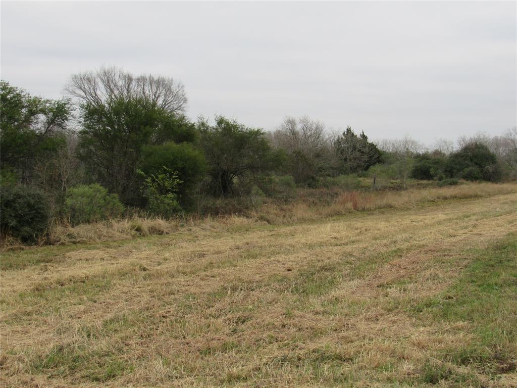 TBD I-10 Frontage Road  , Cat Spring, Texas image 8