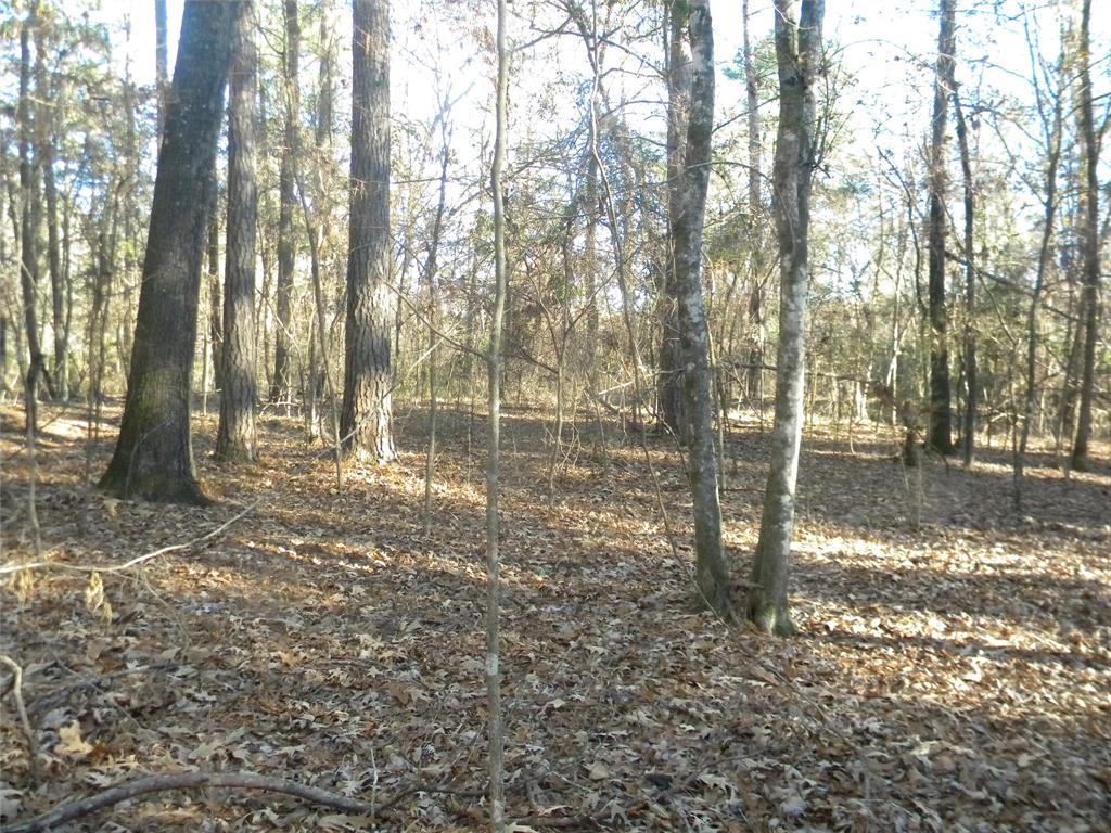 Davy Crockett National Forest public use land on two sides. Heavily wooded tract with no neighbors. Perfect recreational getaway. There are no utilities available. Sikes Creek meanders along the southern and eastern borders. There is an abundance of wildlife.