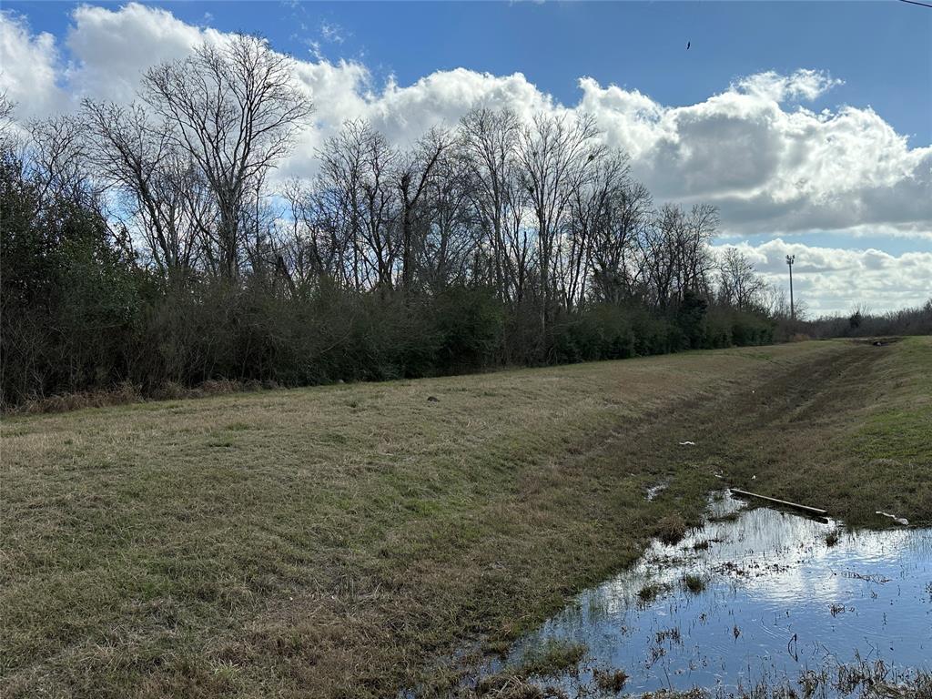 This heavily wooded 7.98 acres sits just South of Hwy 6 on Hwy 288 in Manvel, Brazoria County.  Excellent investment property, prime location and easily accessible.
