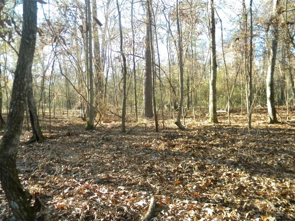 Davy Crockett National Forest public use land on two sides. Heavily wooded tract with no neighbors. Perfect recreational getaway. There are no utilities available. Sikes Creek meanders along the northern and eastern borders. There is an abundance of wildlife.