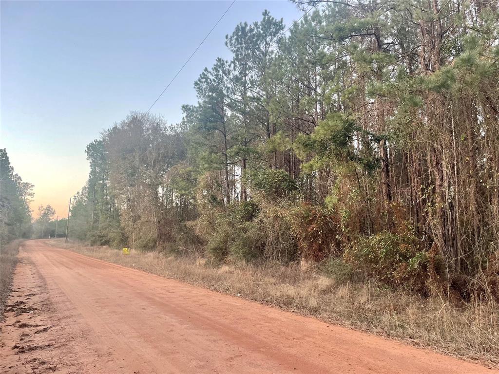 Beautiful 20.4 +/- acre tract pine plantation! Timber is approximately 18 years old. This property is perfect for your dream home site, recreation, hunting, cattle, and much more! Nice terrain and soils throughout this area with low traffic and county maintained road. This is a quiet and peaceful area for you to call home. Electricity is available along the road frontage for your convenience.