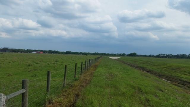 11.89 County Road 341  , Angleton, Texas image 16