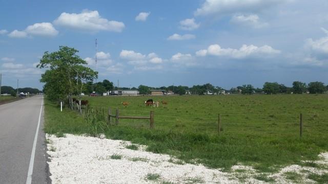 11.89 County Road 341  , Angleton, Texas image 9