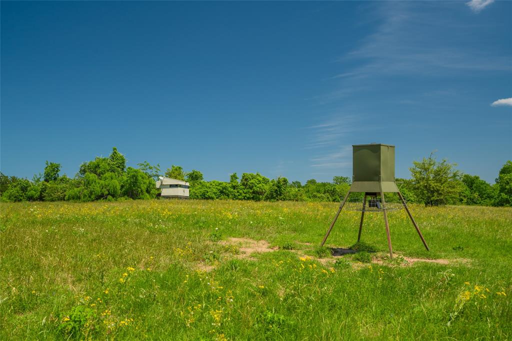 Great locations for the HUNTERS\' BLINDS and DEER FEEDERS - at the edge of the forested areas and overlooking the expansive pastures!