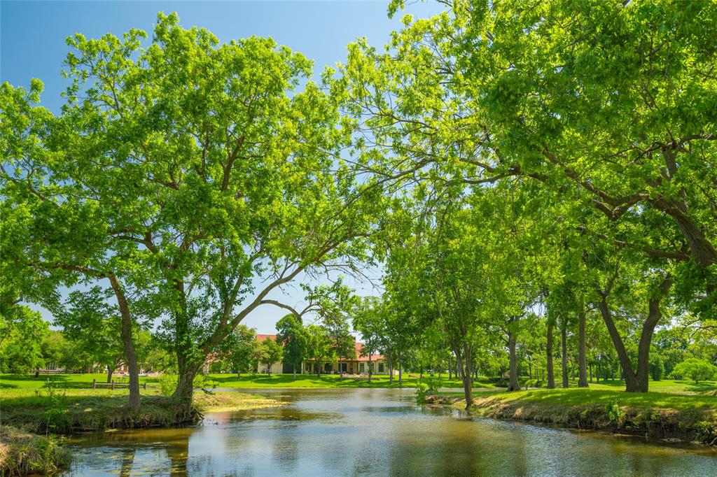 View from the Lake to the Main House - massive trees line the shoreline with their extensive limbs providing canopies of shade to the surrounding   grassed areas.