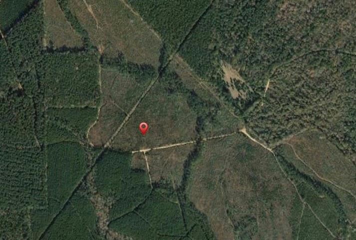 5.73 Acres  County Road 1041  Burkeville Texas 75932, 47