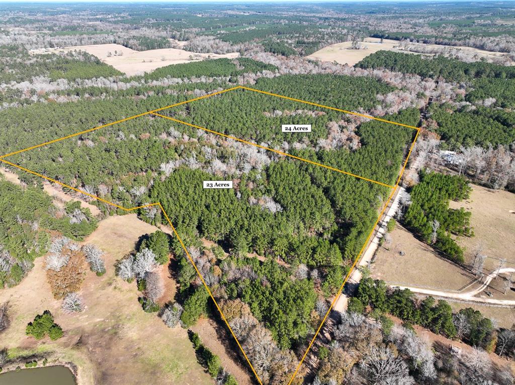 Excellent size and shape; secluded, yet not far from the city of Livingston! Puckett Cutoff is a dead end road limiting neighbors and traffic for a rural, quiet atmosphere. Wooded in mostly pine plantation with a scattering of hardwoods – quintessential East Texas setting! Easily add improvements with access to electricity along the county road. Untouched land read to shape to your desire!