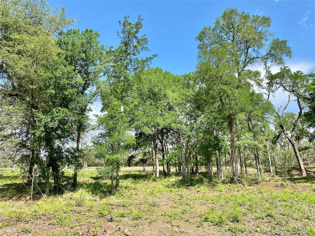 61.571 acres located in Bastrop County between Paige and Smithville. The property slopes to the rear with a gentle roll. You'll find lots of oak and cedar trees, a pond, a 22 acre hay field, and a seasonal creek at the back. Recently cleared, this tract is ready for your dream home or a getaway cabin. There are two oil pads on the property.