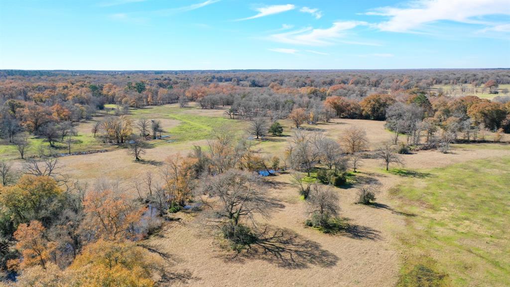 Secluded in the country, this 58 +/- acres has easy access to I-45 right in between Madisonville and Huntsville but in Madisonville ISD. A live water creek runs along they backside of the property which makes it the perfect place for great hunting for deer and hogs, water fowl, and a large pond ready to be stocked for fishing. The property is also cross fenced and ready to run cattle throughout. At the top of the hill is a great homesite possibility. This is the perfect all around property, call The Wells Team today to take a look!