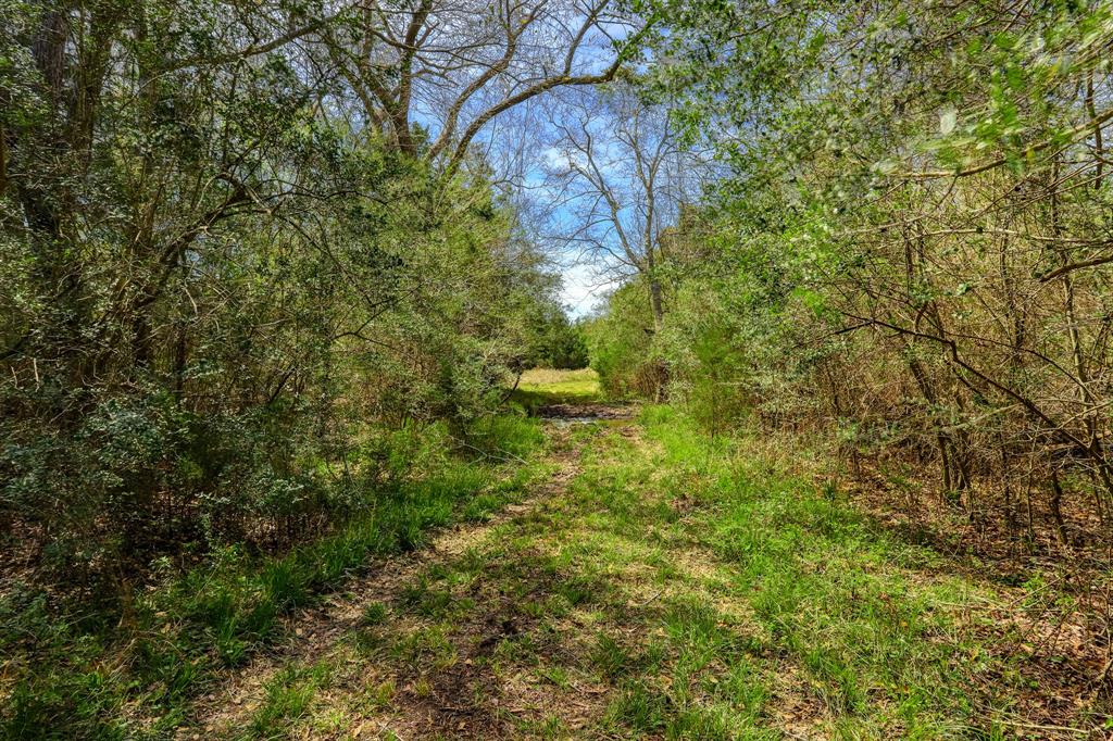 Step into your new life on this 8.5 acres of rolling country in stunning Cat Spring, TX. Imagine breathing in the fresh, dew-drizzled air while forest bathing among towering trees, and finally living your homesteading dream on fertile ground. Observe earth's finest show as local wildlife gracefully roam free, while keeping close to the conveniences you crave. A serene retreat, not just a place to call home, and a wise investment too - they simply can't print this type of green. Don't miss this priceless opportunity to reconnect with the outdoors and all the wonders of creation, and live as nature intended.