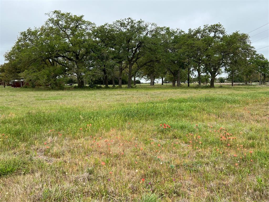 153 Pvt 1671  , Hallettsville, Texas image 5