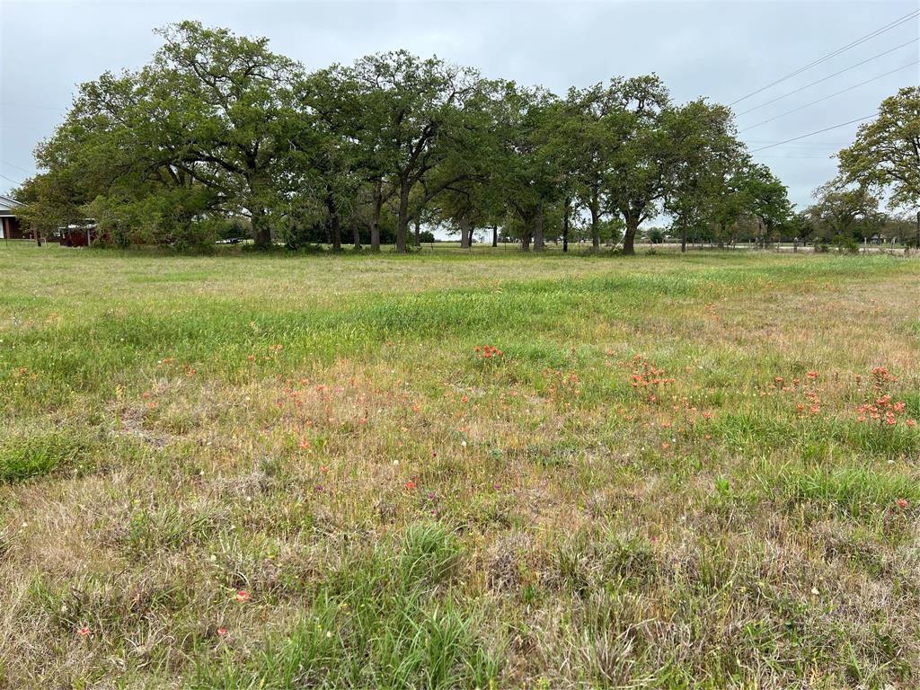 153 Pvt 1671  , Hallettsville, Texas image 6