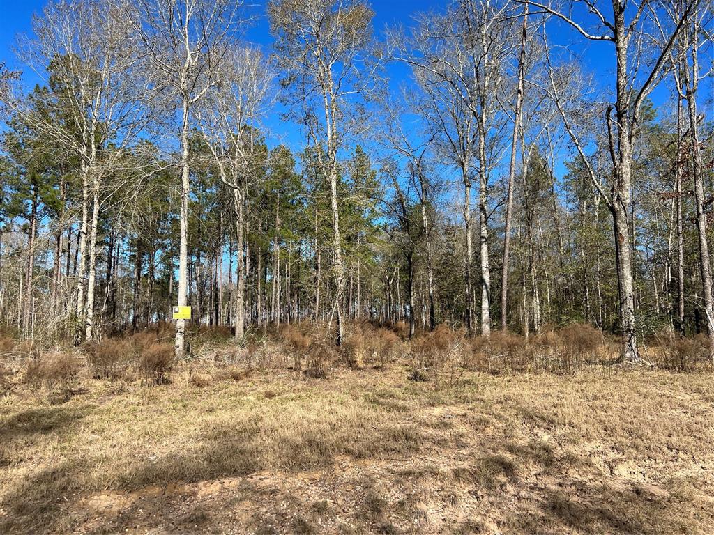 Beautiful 5.93 acres with light restrictions in new subdivision Just minutes from from town and Lake Livingston. Build your dream home on top of hill surrounded by hardwood trees! Don’t miss out on this tract!