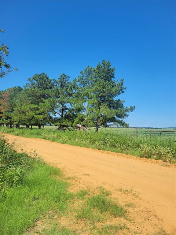 Hunting tract of land that adjoins 40 acres next door. Rural area dirt roads and old hunters shack. Electricity
in the area, located in Grapeland Texas large oak trees 7.33 acres across the road from main acreage. Plenty of building sites for farming or ranching.