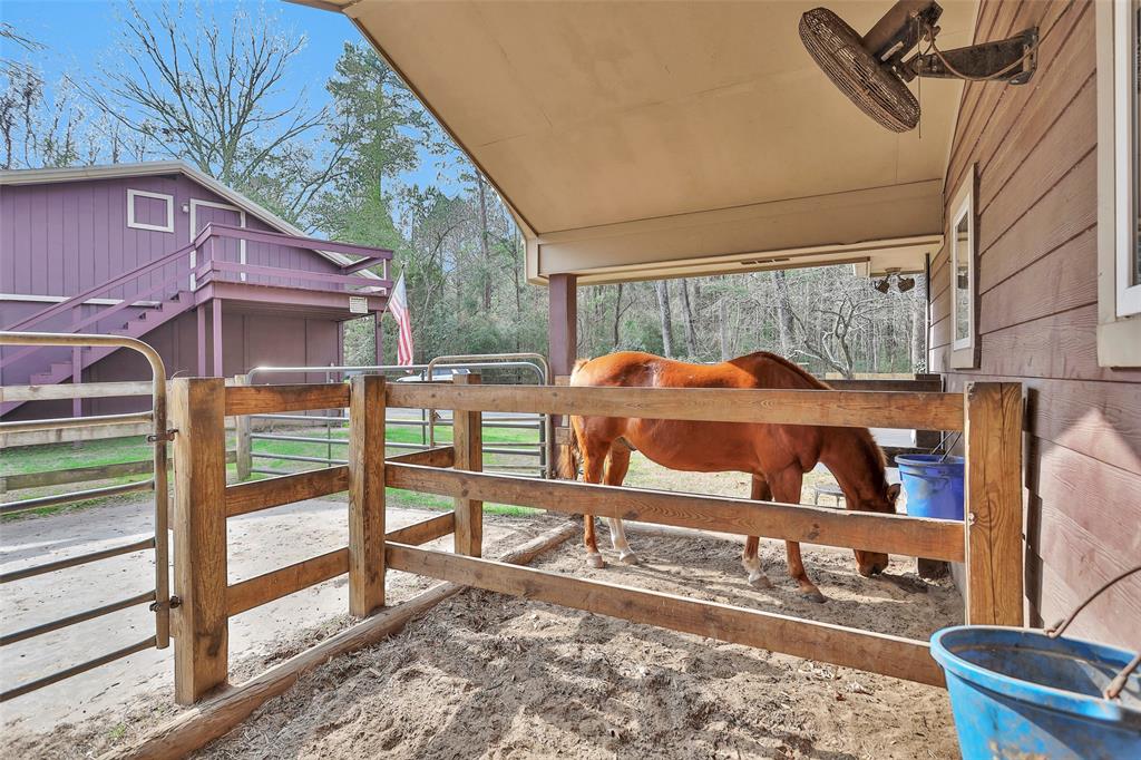 32 acre ranch that neighbors National Forest, entirely pipe fenced, 3 pastures to rotate livestock, 2 ponds. Enclosed feed/tack room. 8 stalls, over-sized storage barn with loft for hay storage. 40' round-pen with lights. Elec. fence surrounding home. 380' well depth with 900 gallon water tank. Whole house generator. 2 RV hookups to accommodate camper & horse trailer. Heated pool & hot tub. 2 separate propane tanks for house & pool. Add'l over-sized garage for storage, vehicles and/or toys. Add'l covered parking with asphalt for tractors & side-by-sides. Concrete barn floor and corral area. Elec. entry gate with asphalt drive-way. Sprawling ranch-style home, each bedrm. has on-suite bath. Lg. game room with wet-bar for entertaining. Dedicated home office with custom built-ins. Generously sized kitchen & dining. Charming stone fireplace. Centrally located for easy commute to Cleveland, Conroe, Willis & New Waverly. Inquire about pre-listing inspection report.