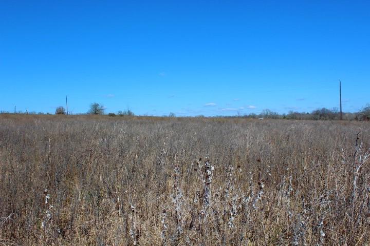 +/-40 acres just outside the town of Leona on FM 977. Land is 95% open pasture with Coastal and Bahia grasses, rolling terrain, one stock pond, property is fenced with barbwire on three sides and has approximately 2,800 feet of PR 1115 road frontage & approximately 440 feet of FM 977 road frontage. This would be a great investment property or beautiful a place to build your dream home and raise livestock. Land is currently under an wildlife exemption. Centerville ISD