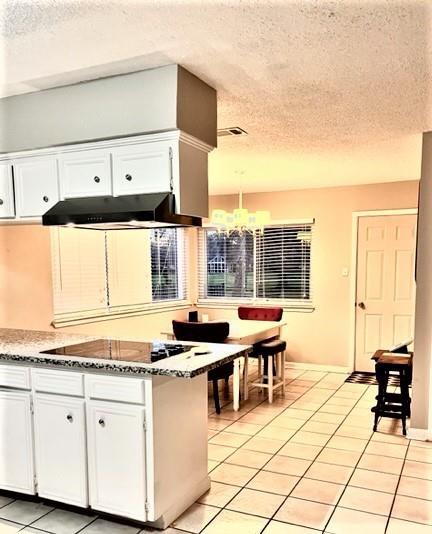 Cooktop with vent overlooking the dining area just off the kitchen