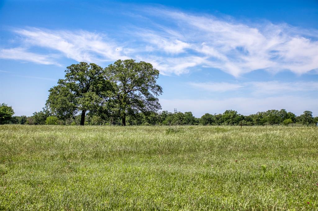 +/- 82 Acres of gently rolling pastureland, scattered trees, mature oaks, ponds, water well, windmill, old barns, paved CR frontage! Minutes to Lake Somerville, Brenham or Bryan-College Station. Build your dream home, run livestock, invest for future development or use for weekend getaways. So many possibilities with a location such as this one. Water well and electric on-site. Partially high-fenced and partially low-fenced. New driveway entrance will need to be installed, additional acreage available. Light restrictions to be applied - no mobile home parks, no RV parks allowed.
