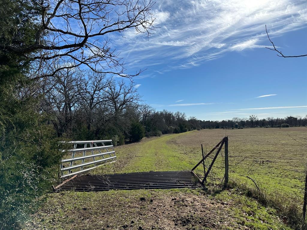 10.65 acres on a 60' private white rock road.  Beautiful oak and hardwood trees.  Property is fenced on 3 sides with electricity available.