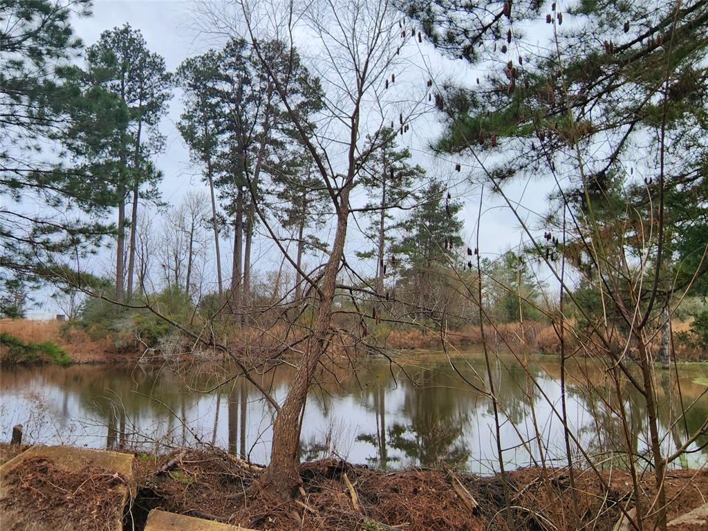 TBD County Road 1155 Kennard, Texas
