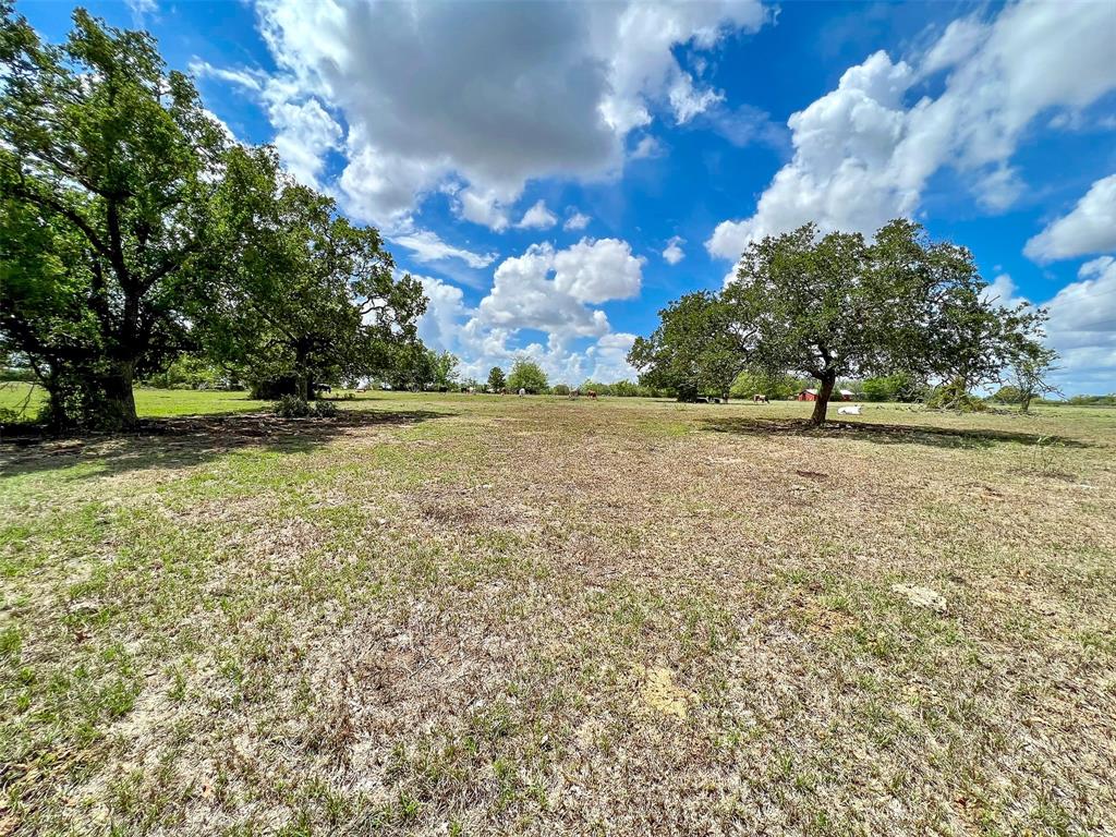 Unrestricted 19-acre tract offering open landscape with scattered trees, sandy loam soil and level topography. Excellent weekend farm or full-time homestead.