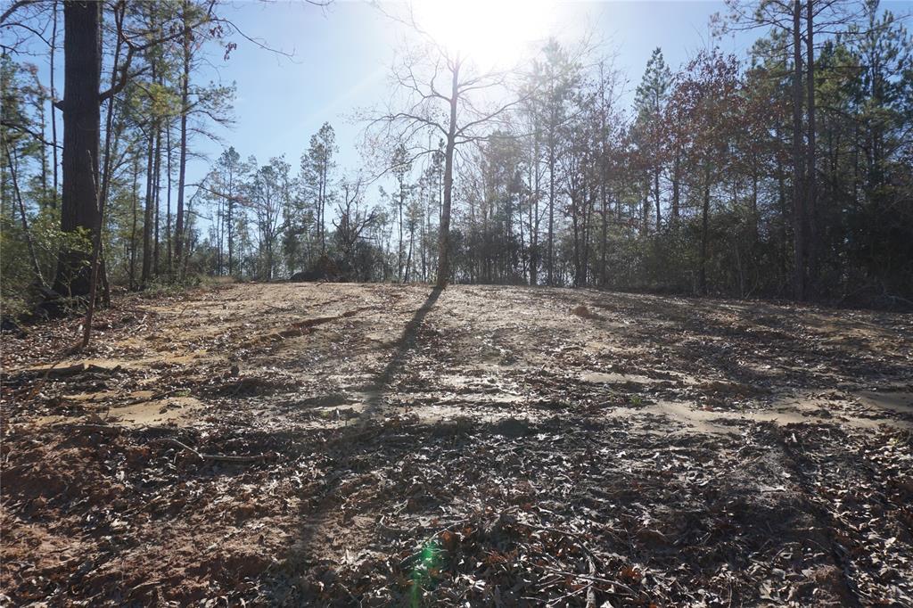 Nice small tract of land with water and electric in place ready to go. Pad is in place for your RV. Make this your weekend retreat or future homesite. This is one of 5 tracts that are available down a Private road these tracts are all wooded with plenty deer and hogs. Very quiet and secluded.