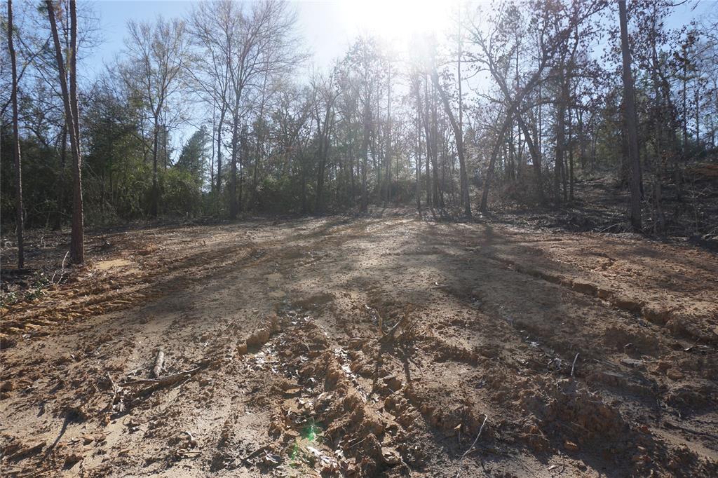 Nice small tract of land with water and electric in place ready to go. Pad is in place for your RV. Make this your weekend retreat or future homesite. This is one of 5 tracts that are available down a Private road these tracts are all wooded with plenty deer and hogs. Very quiet and secluded.