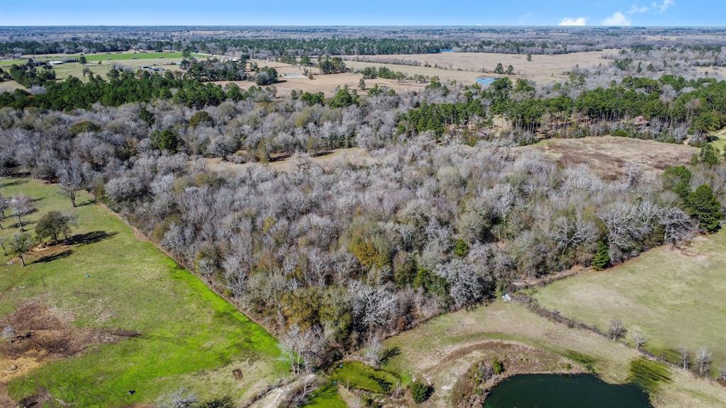 Here is your chance at owning just over 14+ acres in Grimes County! This land has no restrictions. There is tons of available timber, as only a small amount of clearing was done inside the property. Approximately 1.5 hours from Houston, 30 minutes to the Historic town of Anderson and 35 minutes to Huntsville, this unique piece of property has an abundance of potential and is in a prime location. Property is accessible from an unimproved easement off of the county road. 2 Survey flags mark the easement entry.