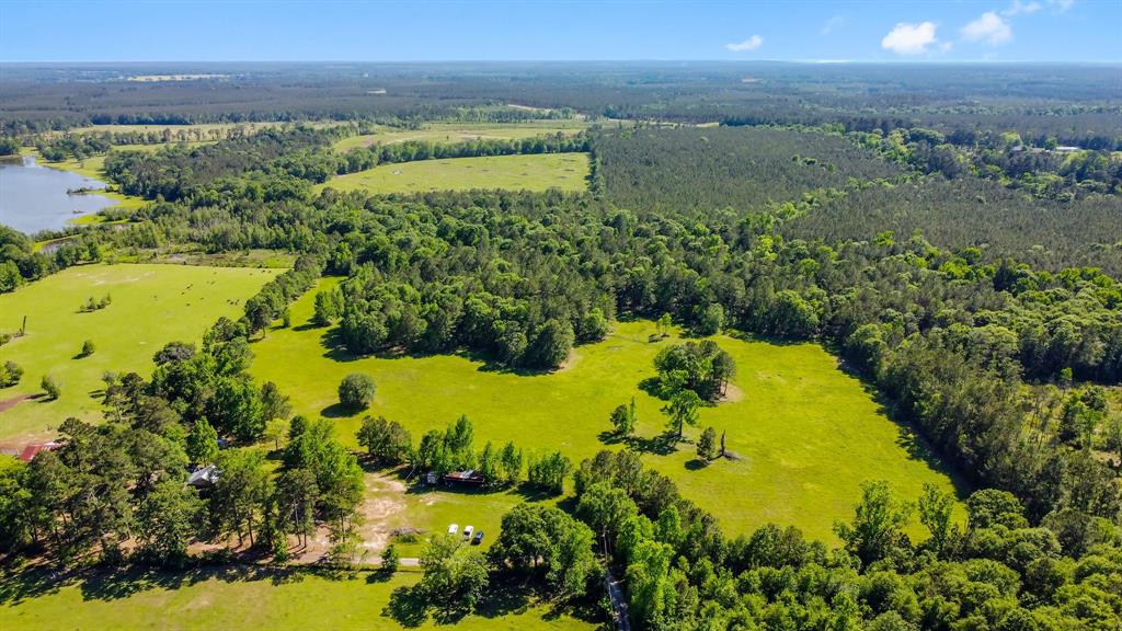 312  Loblolly Lane Groveton Texas 75845, 42