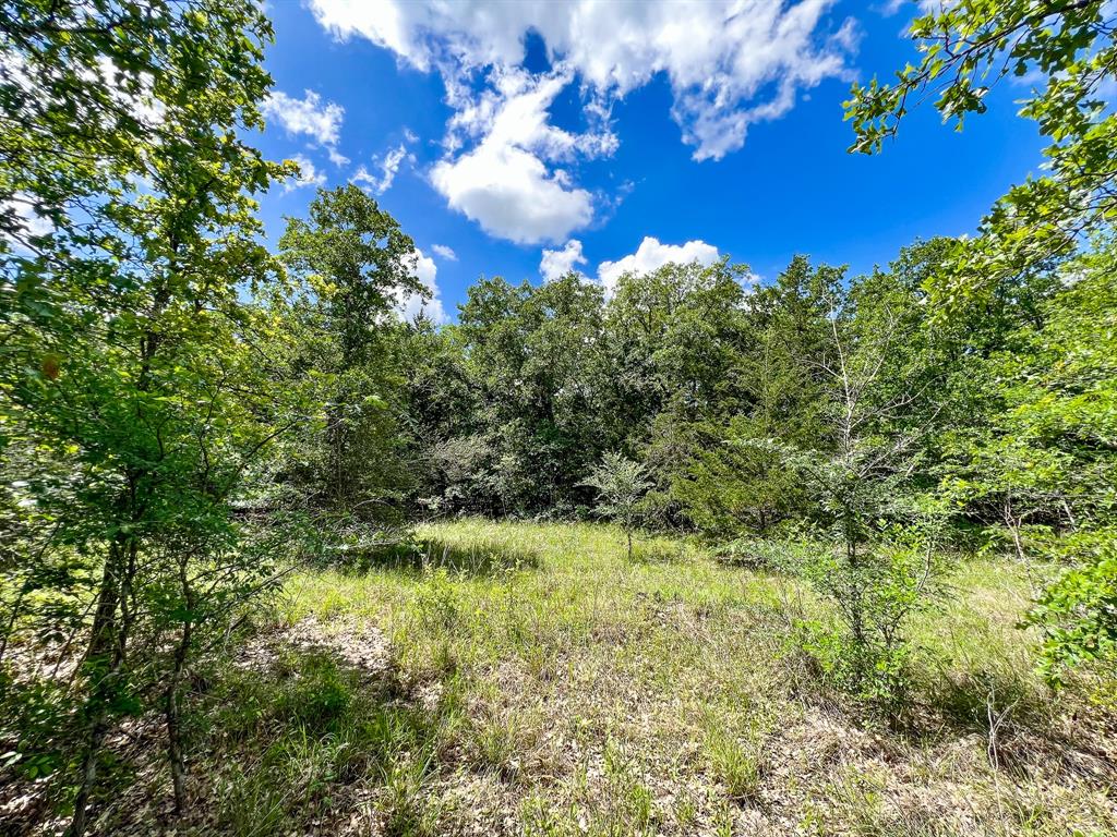 Unrestricted 3.76 acres located a short distance from FM 39 on CR 127. The property features sandy loam soil, mature hardwoods, a small pond, and public water. Power available along the south boundary of tract 1. Additional 2.88 acres available.