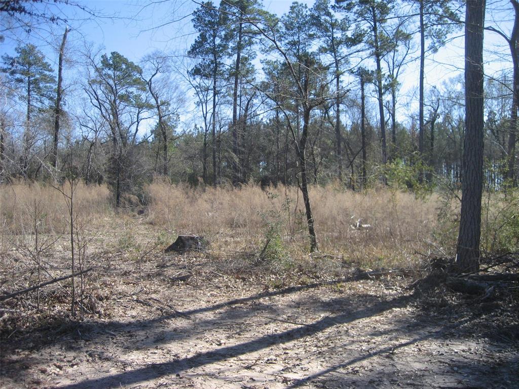 40 WOODED ACRES: EXCELLENT HUNTING POTENTIAL  DEER, HOGS, DUCKS. BRISTOW CREEK BORDERS PROPERTY.