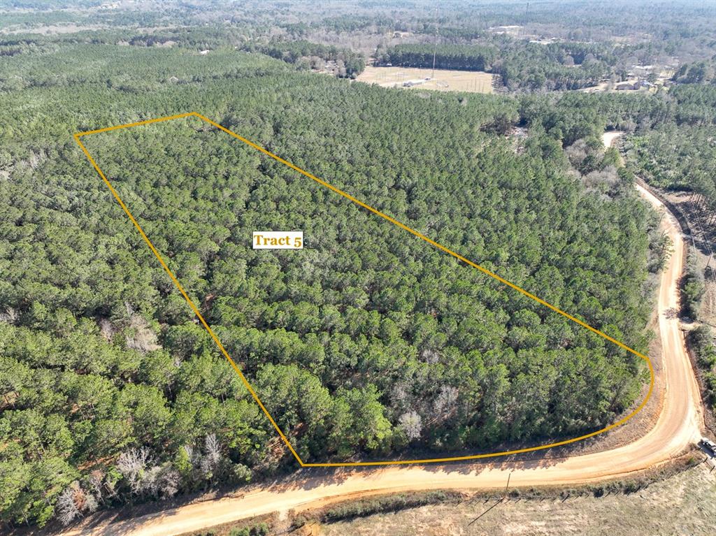 (T-5) PRIME location with easy access to Livingston for rural country living, but not far from town! Bracewell Cemetery Road is a dead end, providing a feel of seclusion and privacy. Wooded in mostly loblolly pine that has been previously thinned, making for easy mulching of the understory growth. Keep natural or improve at your leisure! Lightly restricted to protect the integrity of the land and improvements. Utilize for full time residence, weekend ranch, or hunting getaway.