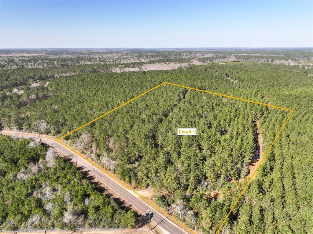 (T-7) PRIME location with easy access to Livingston for rural country living, but not far from town! Bracewell Cemetery Road is a dead end, providing a feel of seclusion and privacy. Wooded in mostly loblolly pine that has been previously thinned, making for easy mulching of the understory growth. Keep natural or improve at your leisure! Lightly restricted to protect the integrity of the land and improvements. Utilize for full time residence, weekend ranch, or hunting getaway.