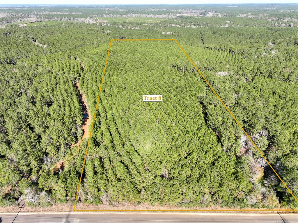 (T-8) PRIME location with easy access to Livingston for rural country living, but not far from town! Bracewell Cemetery Road is a dead end, providing a feel of seclusion and privacy. Wooded in mostly loblolly pine that has been previously thinned, making for easy mulching of the understory growth. Keep natural or improve at your leisure! Lightly restricted to protect the integrity of the land and improvements. Utilize for full time residence, weekend ranch, or hunting getaway.