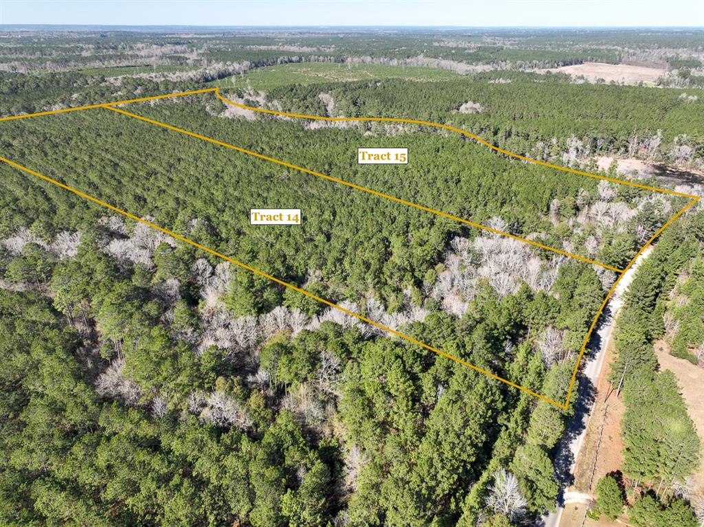 (T-14) PRIME location with easy access to Livingston for rural country living, but not far from town! Bracewell Cemetery Road is a dead end, providing a feel of seclusion and privacy. Wooded in mostly loblolly pine that has been previously thinned, making for easy mulching of the understory growth. Keep natural or improve at your leisure! Lightly restricted to protect the integrity of the land and improvements. Utilize for full time residence, weekend ranch, or hunting getaway.