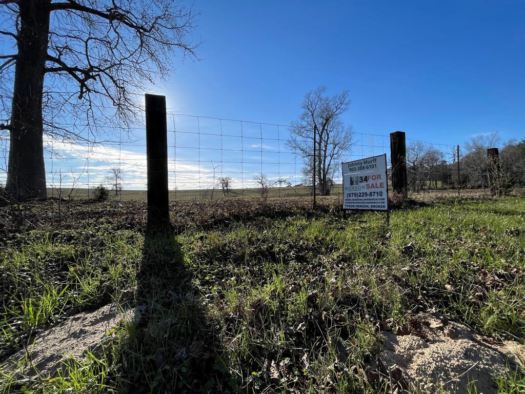 This property lies partly on scenic hill (400+ ft elevation) and would be a gorgeous building site. Mostly open with coastal bermuda grass for grazing, a few large trees and a pond. The barbed wire fence is in good repair and cattle are currently on the property. Currently under ag use exemption. Access is by the ample FM road frontage on two sides.
