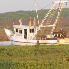 Local Shrimper coming in after a long day, ready to sell you some fresh shrimp!