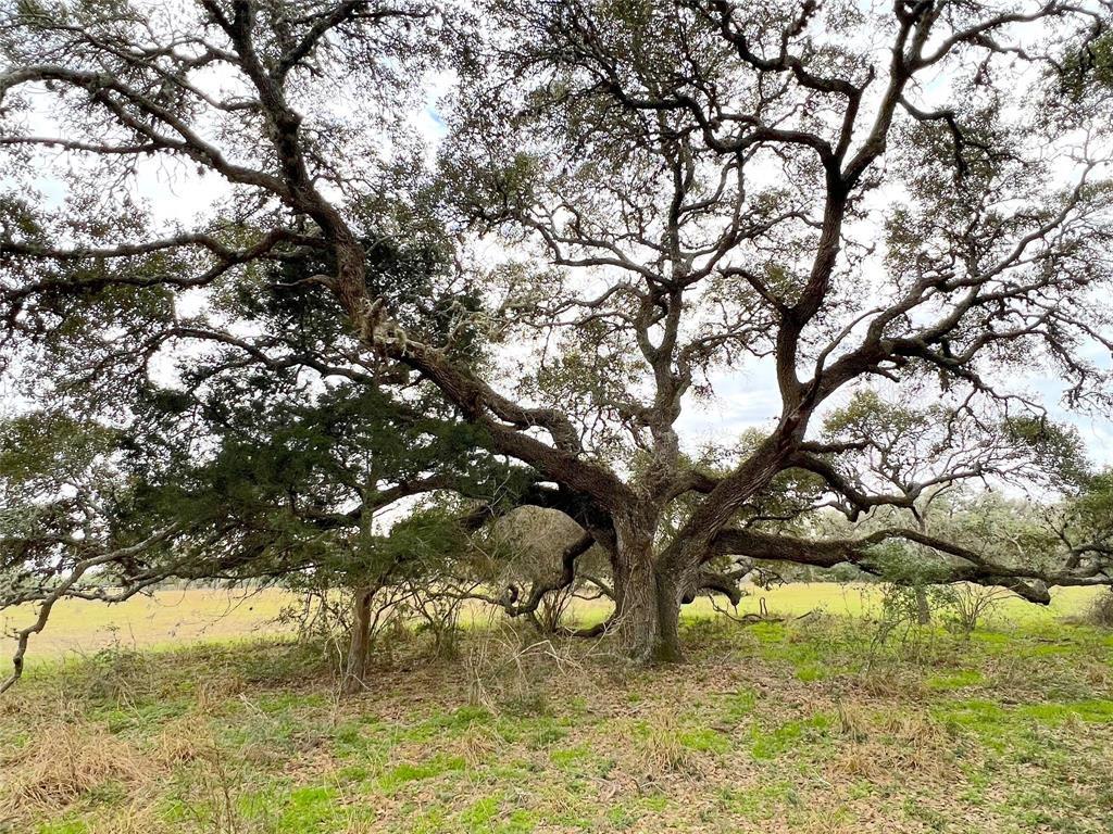 Tract 4  County Road 105  Columbus Texas 78934, Columbus