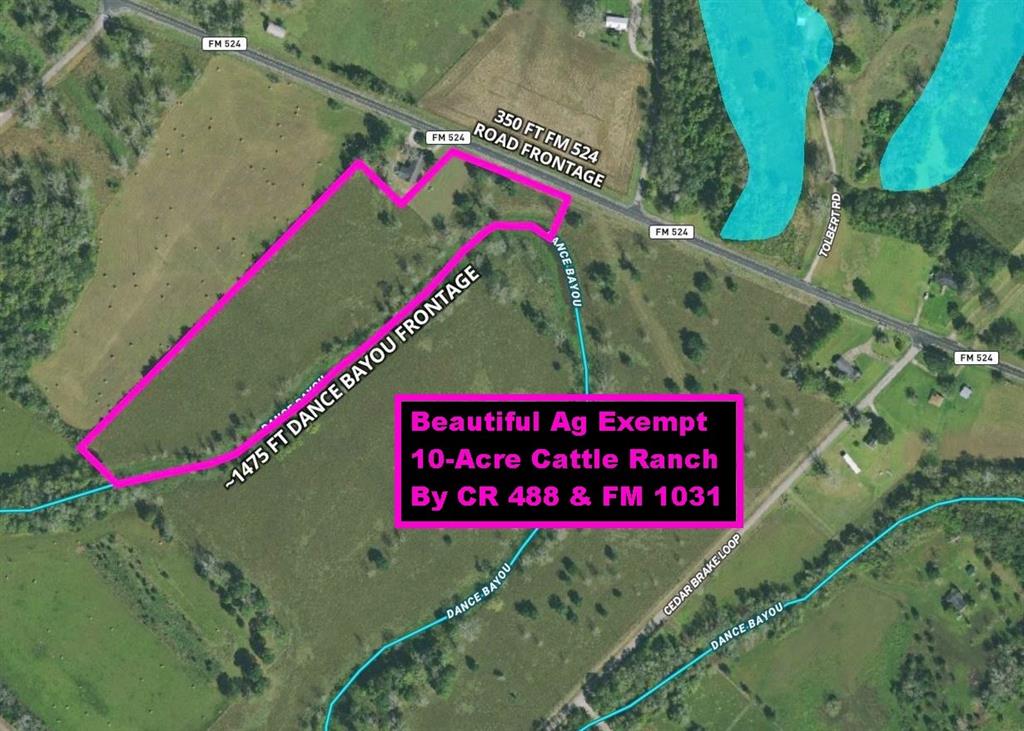 Ag Exempt! Beautiful 10-Acre Cattle Ranch By CR 488 & FM 1031 With ~350 Feet Paved Road Frontage On FM 524. Improved Pasture With Partial Perimeter Fence. Dance Bayou Runs Along the Southern Border for ~1475 Feet With Clusters of Trees Lining The Banks. The Property Is Located 10.5 Miles NW Of West Columbia Via FM 1301 And 26 Miles South Of Wharton Also Via FM 1301. SH 35 And The Phillips Plant Are ~5 Miles South On FM 524 & Sweeny is 12 Miles South. SH 36 Is ~11 Miles East. Located Midway Between Houston & Freeport; Both Are 35 Miles Away. Lot 1 Is Part of A Larger Tract Totaling 50.1 Acres. Additional Tracts Available For Sale Ranging From 10 Acres To 50.5 Acres. See Map in Attachments for Undivided Tract & Subdivided Lots. Pictures Represent The Entire 51+ Acres And May Not Be Part Of Lot 1. Buyer Purchases Survey. AN APPOINTMENT IS REQUIRED DUE TO CATTLE ON THE PROPERTY! Restrictions In Docs.