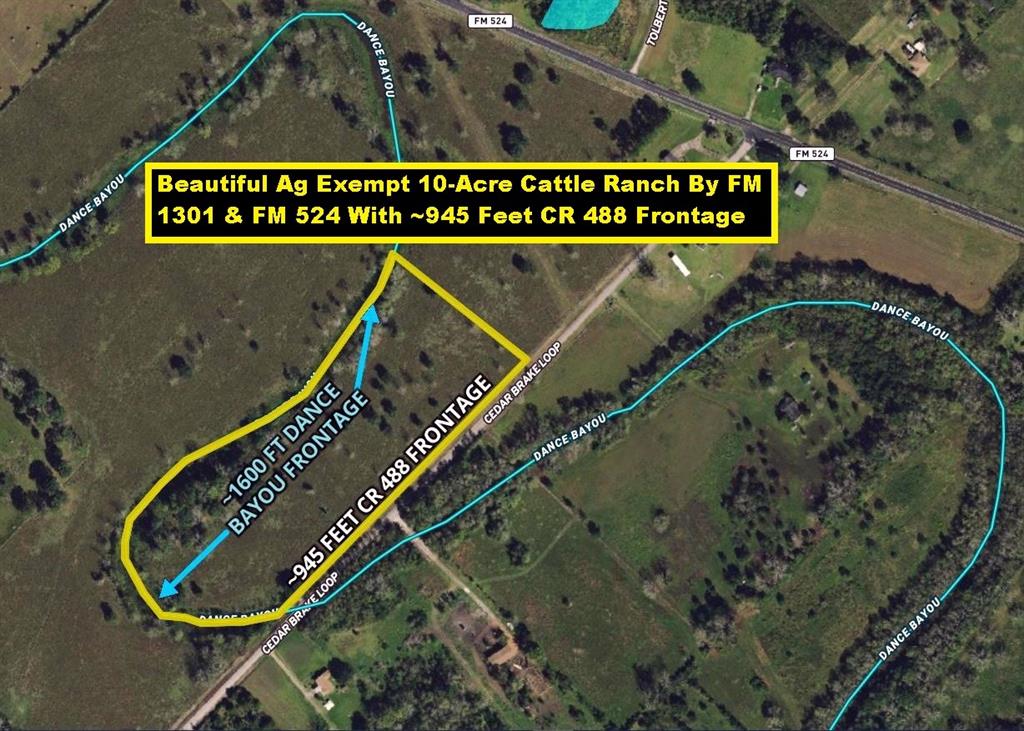 Ag Exempt! Beautiful 10-Acre Cattle Ranch By FM 1301 & FM 524 With ~945 Ft Paved Road Frontage on CR 488. Improved Pasture With Partial Perimeter Fence. Dance Bayou Runs Along the Northern & Western Border for ~1600 Feet With Clusters of Trees Lining The Banks. The Property Is Located 10.5 Miles NW Of West Columbia Via FM 1301 & 26 Miles South Of Wharton Also Via FM 1301. State Hwy 35 & The Phillips Plant Are ~5 Miles South On FM 524. State Hwy 36 Is Approximately 11 Miles East. Located Midway Between Houston & Freeport; Both Are 35 Miles Away. Lot 4 Is Part of A Larger Tract Totaling 50.5 Acres. Additional Tracts Available For Sale Ranging from 10 Acres To 50.5 Acres. See Map Pictures For Undivided Tract & Subdivided Lots. Pictures Represent The Entire 51+ Acres and May Not Be Part Of Lot 4. Buyer Purchases Survey. AN APPOINTMENT IS REQUIRED DUE TO CATTLE ON THE PROPERTY! There Is A Large Section In Zone X Per The FEMA Map That Is Not In The Floodplain. Restrictions in Docs.