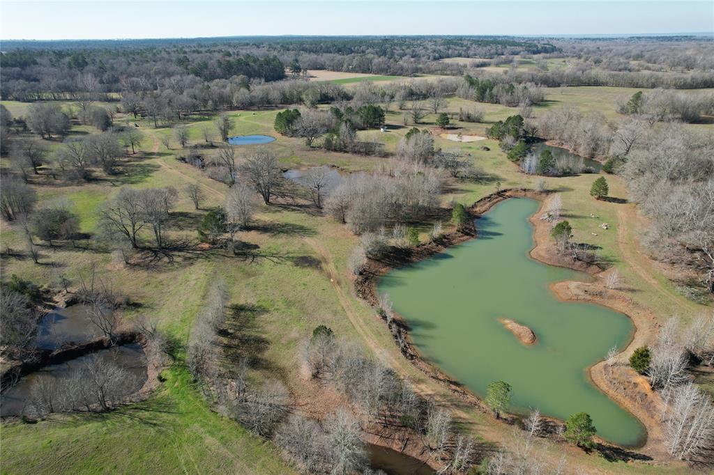 GORGEOUS PROPERTY!
  Nestled down Hall’s Bluff Road in Crockett, TX, you will find this beautiful 106.384-acre tract of land with lots of water and grazing pasture. When you enter this beautiful tact, you will find a nice road system that runs through the property leading you to different ponds/lakes and open pasture, best fit for hunting and running cattle. There are 8 different ponds on the property, all varying in shape and size. These ponds constantly hold water, with most being spring fed. The property boundaries are fenced for maintaining your livestock. The northwest corner of the property borders Hurricane Bayou, making a great resource for wildlife in the area. The owner of the property reports great deer hunting, hog hunting, and waterfowl. If you desire hunting and ranching, then this property is for you! Call today to schedule a private tour.