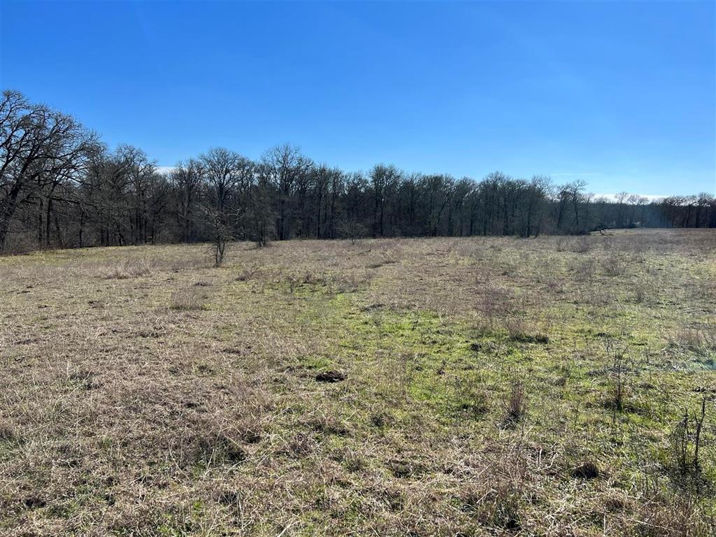 Ranch land ready for your dreams and enjoyment. Situated in the rolling hills of  Grimes County near the city of Anderson. So many options build your dream home, space for outdoor activities! 12 acres are listed with up to an additional 13 acres available. Deed restricted to keep value.